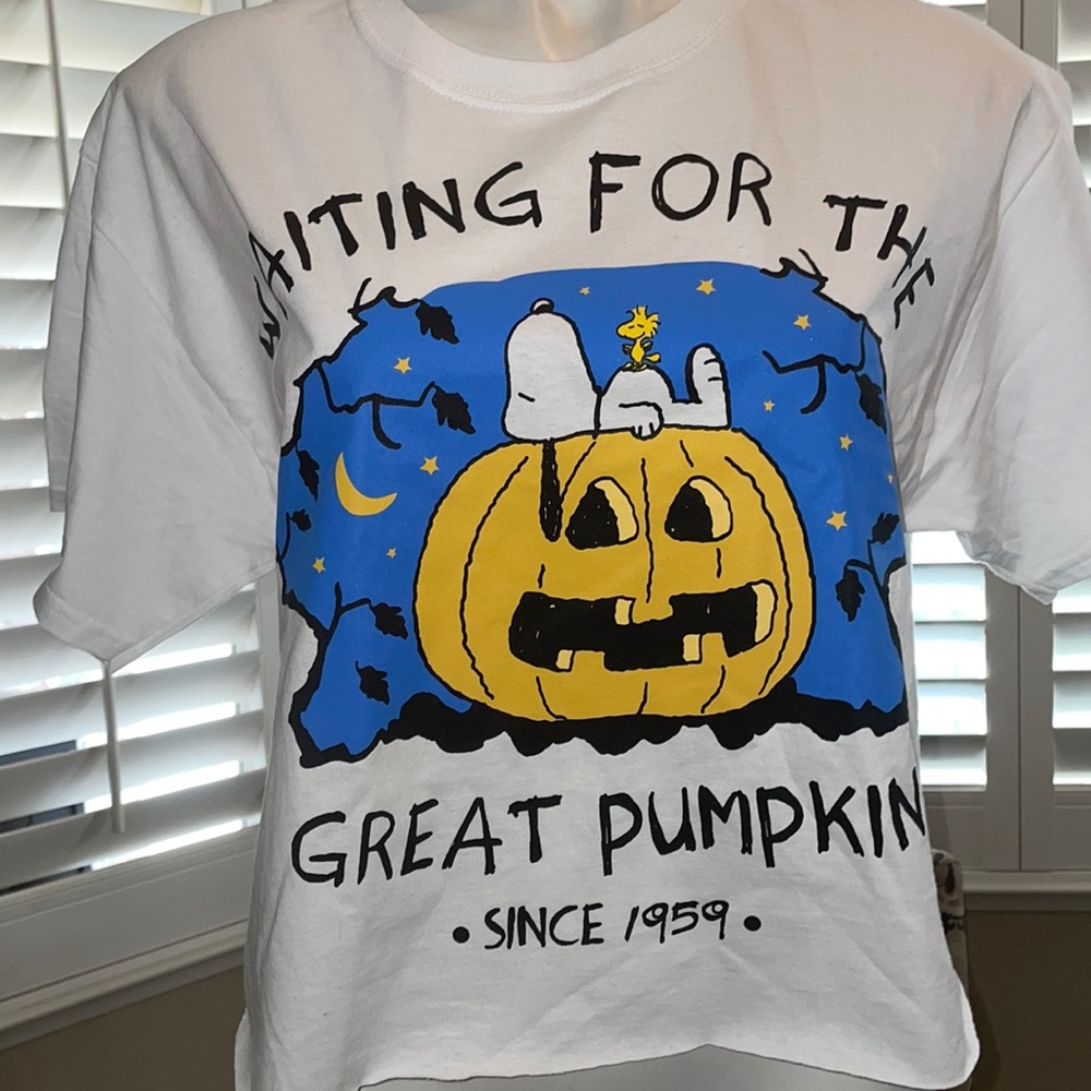 Peanuts snoopy Halloween shirt medium